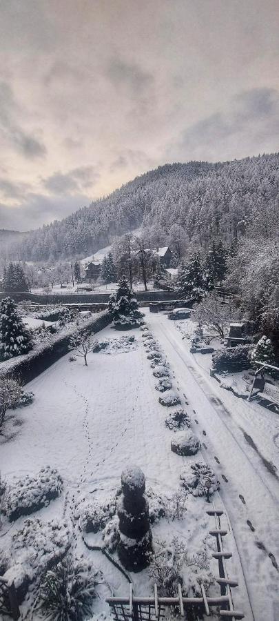Moje Pieniny Apartament Szczawnica Exterior foto